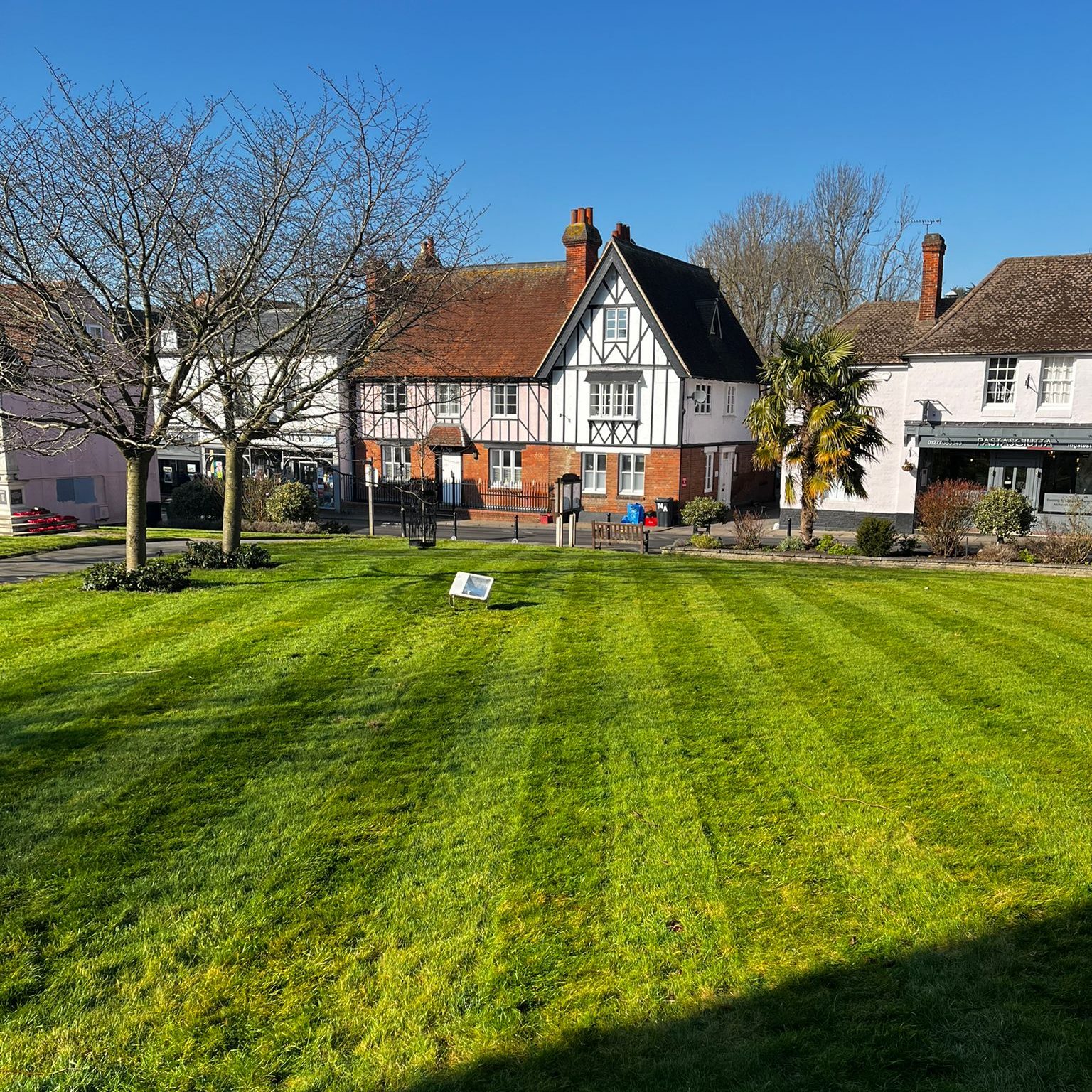 How to Prepare Your Garden for Winter